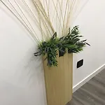 Raya 28 巴里