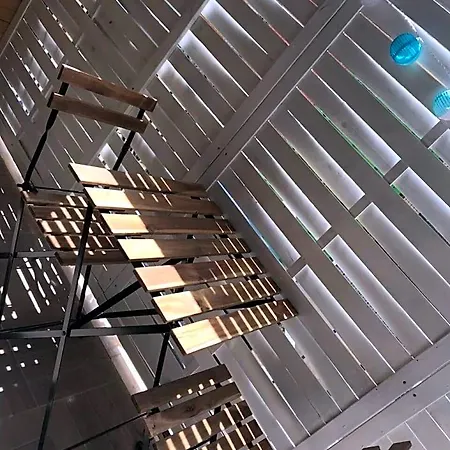 Raya 28